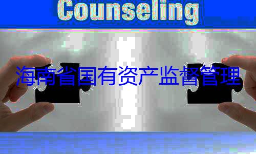 有福接受审海南省国有资产监督管委副书记王理委员会党查调查